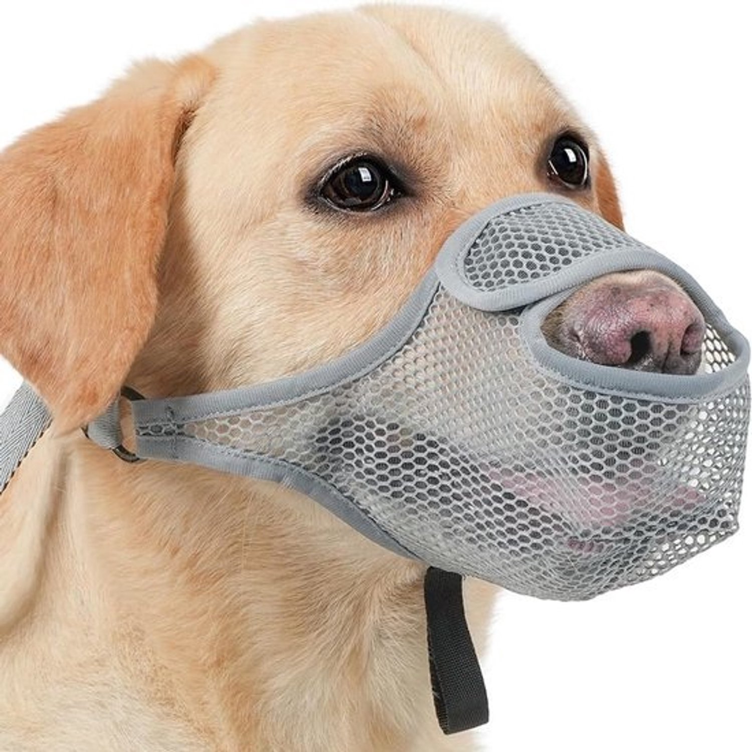Hondenmuilkorf - Comfortabel mondmasker - Veilig wandelen - Zacht, ademend materiaal - Verstelbare riem - Grijs