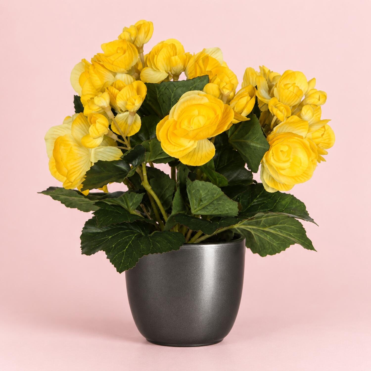 Mica Decorations Kunstplant - Begonia - geel - H25 cm - in bloempot antraciet - keramiek - complete set van pot en plant - decoratie stuk