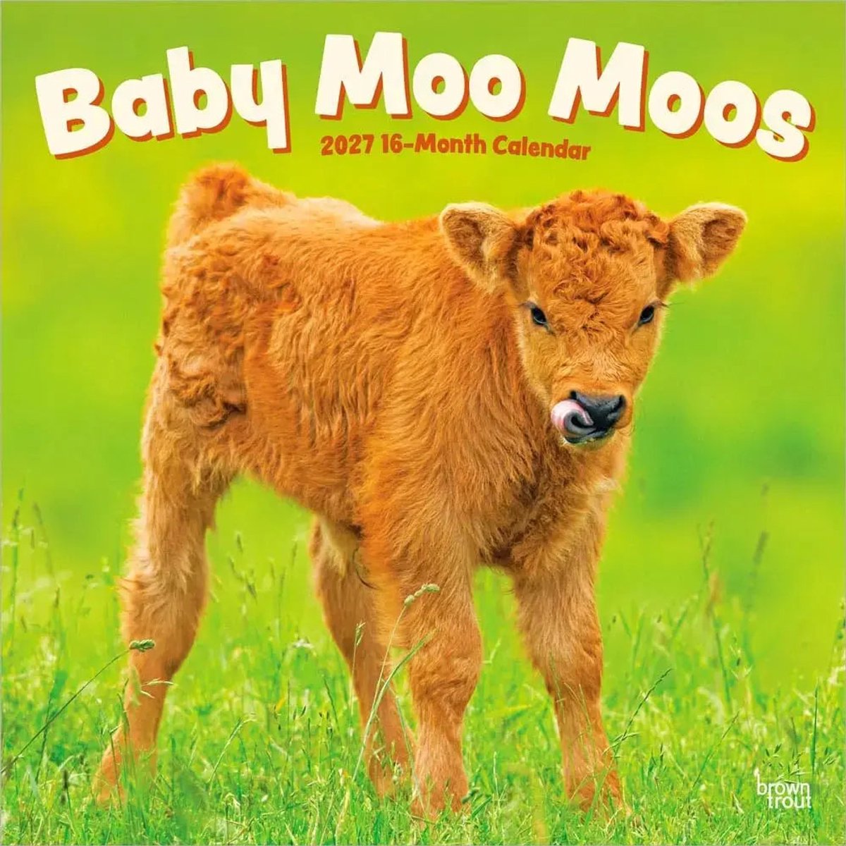 Baby Moo Moos Kalender 2027