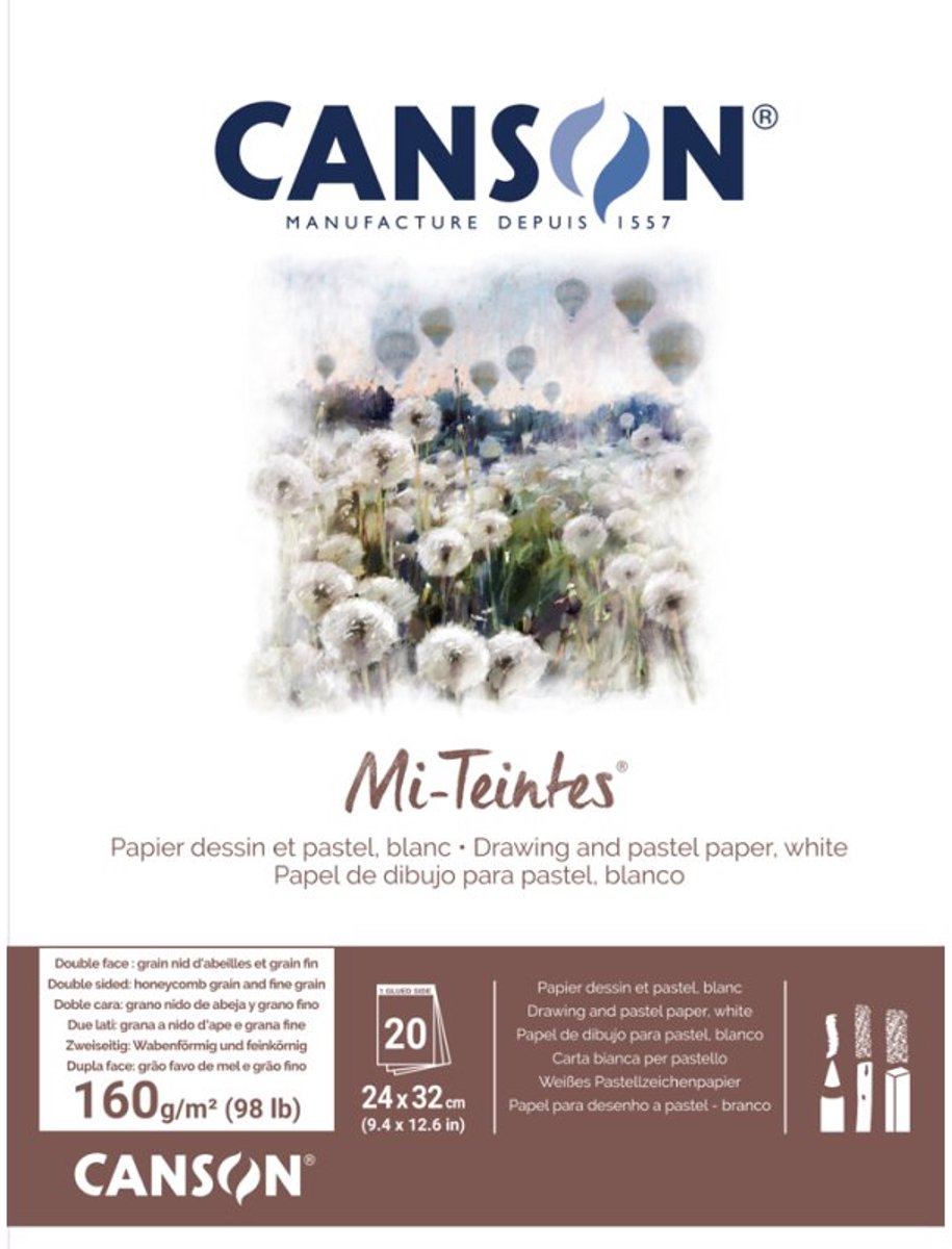 CANSON tekenpapier Mi-Teintes blok, 320 × 410 mm, 160 g/m², 20 vel wit assortiment