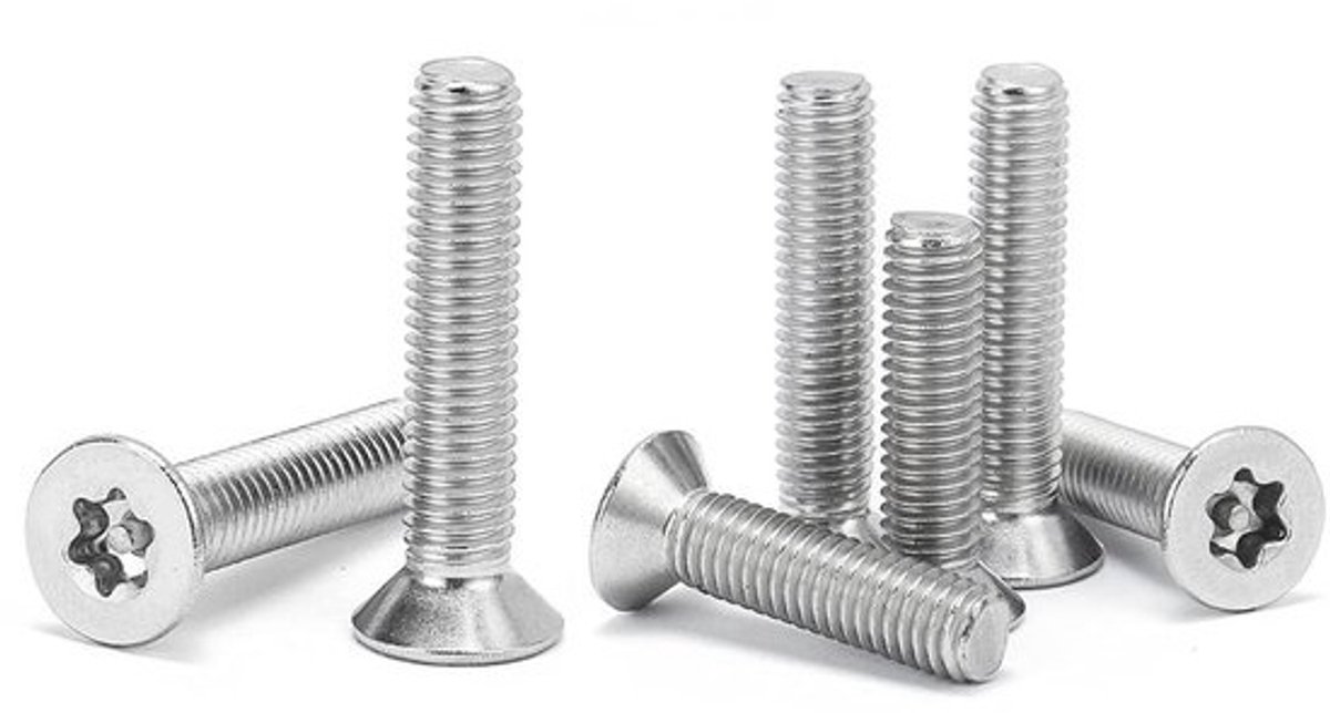Torxbouten - Verzonkenkopschroeven - Voor veiligheidsbevestiging - Antidiefstalontwerp - M6 x 50 mm - 10 stuks - Roestvrij staal
