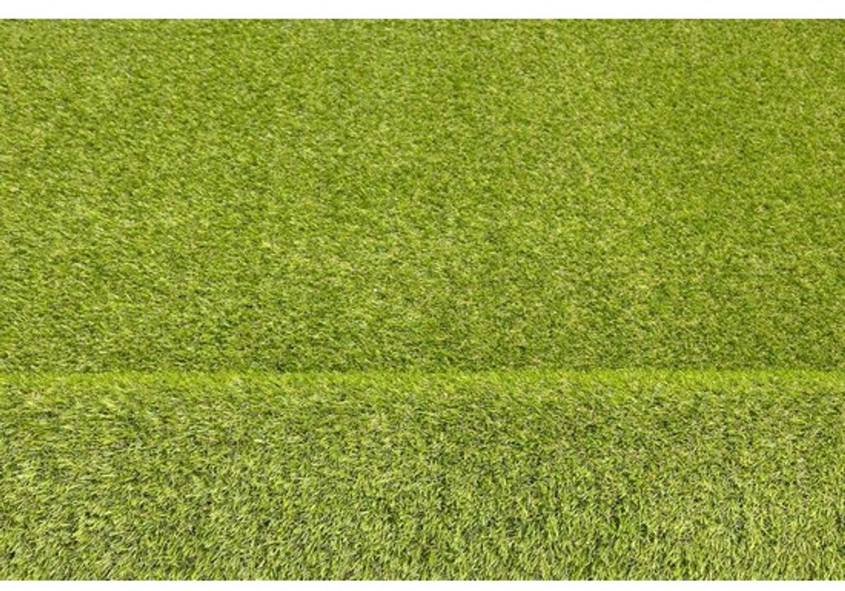 Kunstgrastapijt - Decoratief gras - Voor balkon en tuin - Kant-en-klaar - 100 x 150 cm - Alvira