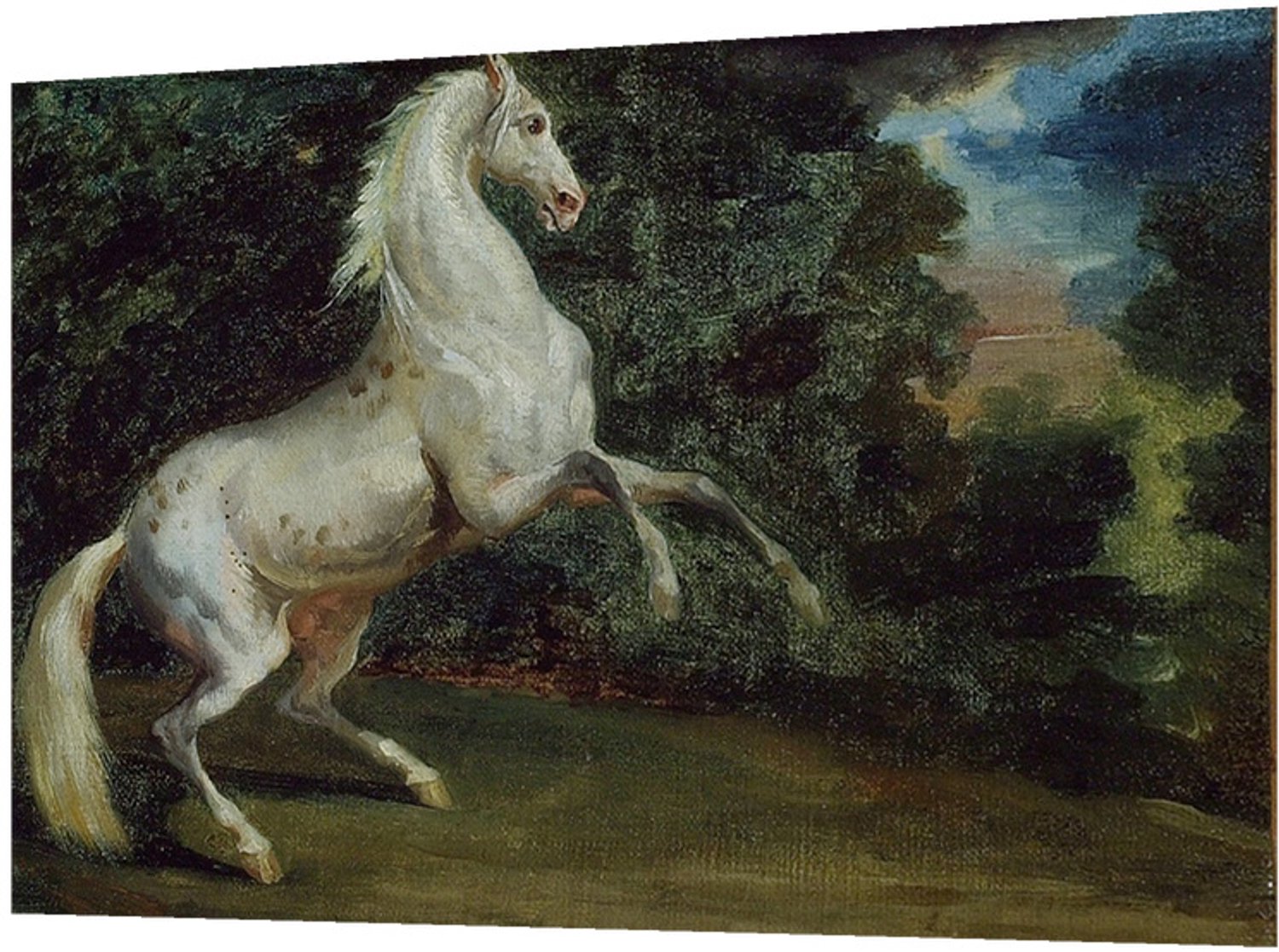 Printen.eu Poster - Prancing Horse - 20.8 x 13.5 cm Multicolor