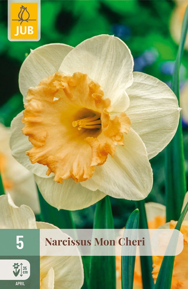Narcissus mon cheri bloembol JUB 5 stuks
