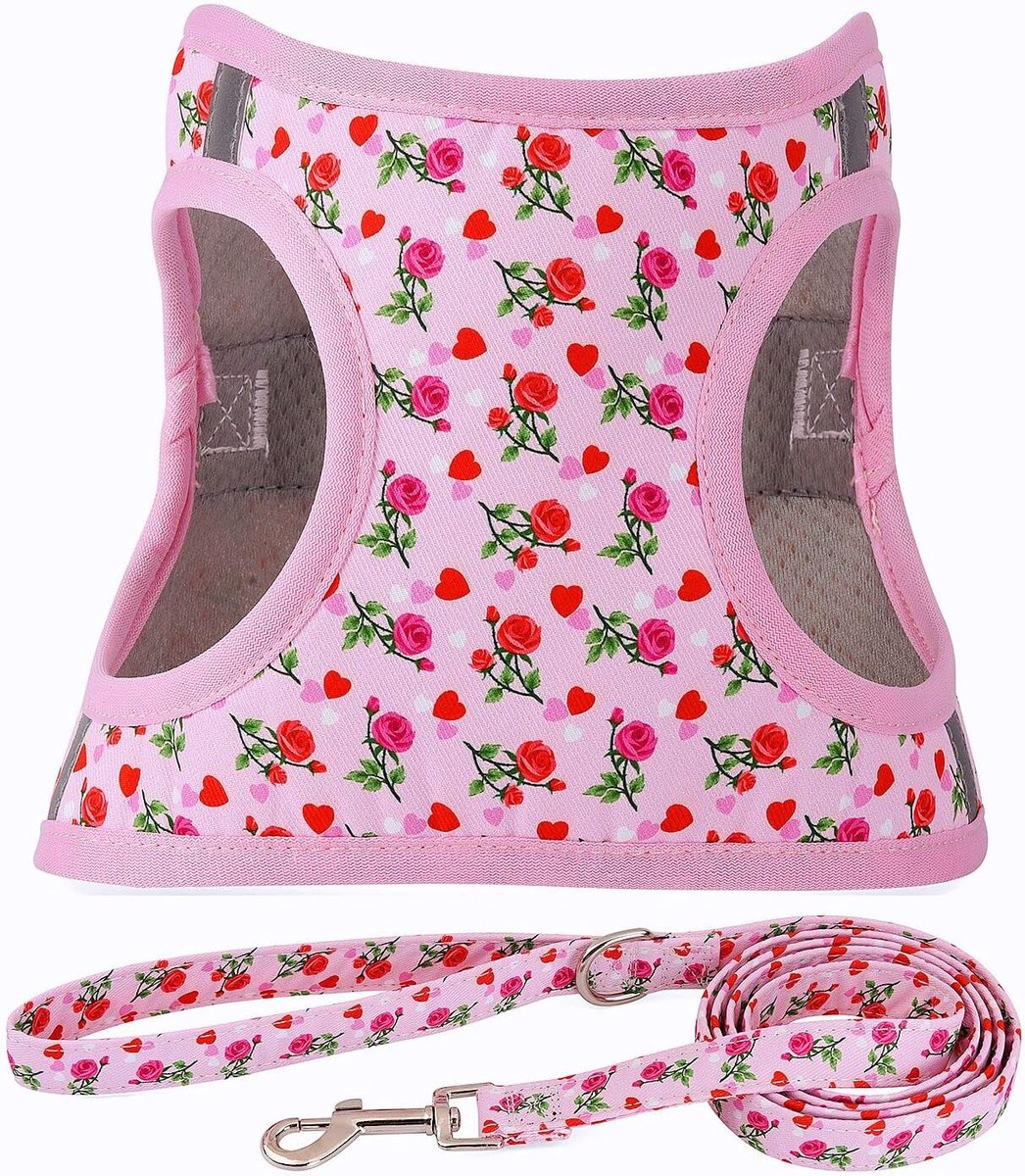 Hondenharnas en leibandset, elk weertype, reflecterend, trekt niet, bloemenpatroon, gewatteerde mesh, katten, puppy‘s, extra kleine, kleine, middelgrote, grote honden, hart en roos, L