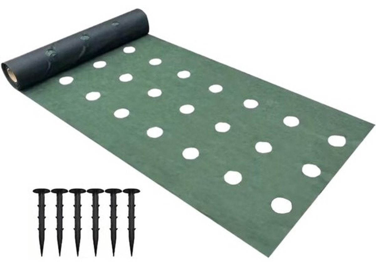 Landschapsstof - Heavy-duty - Bodemdoek voor gazon - Houdt onkruid vrij - Voorgeperforeerde gaten - 600 x 100 cm - Zwart
