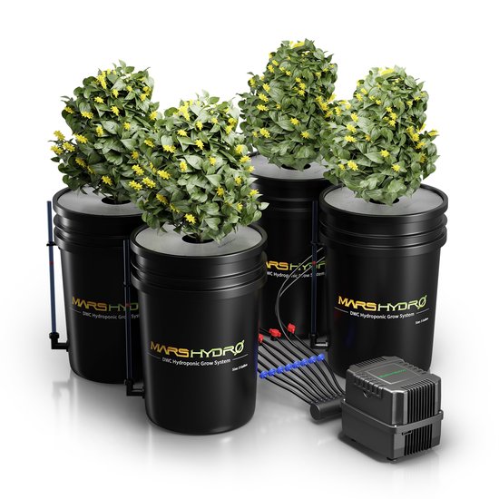 Mars Hydro DWC hydroponisch systeem met 4 zwarte emmers en planten.