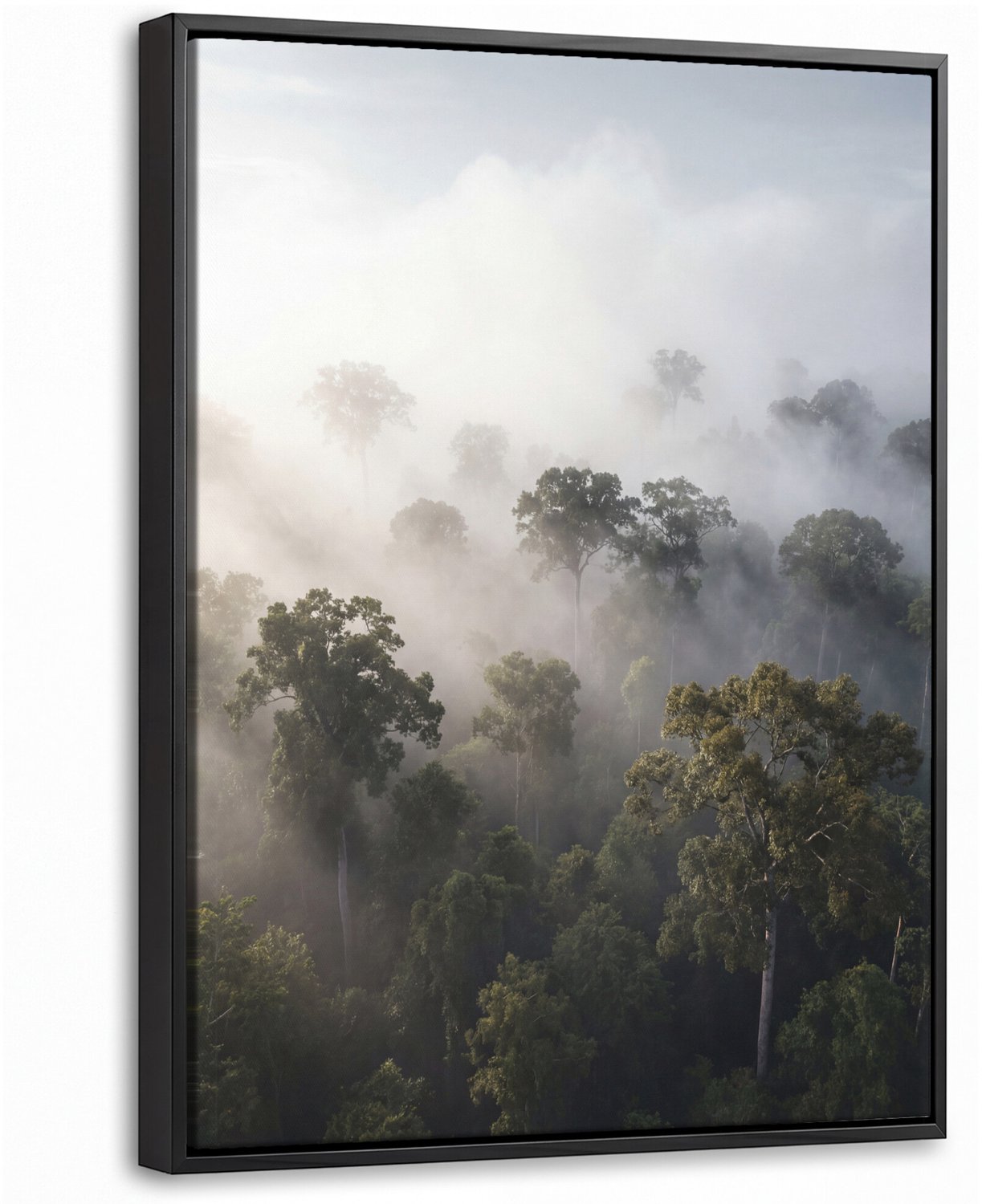 Canvas Schilderij met Baklijst - Bos - Mist - Natuur - Groen