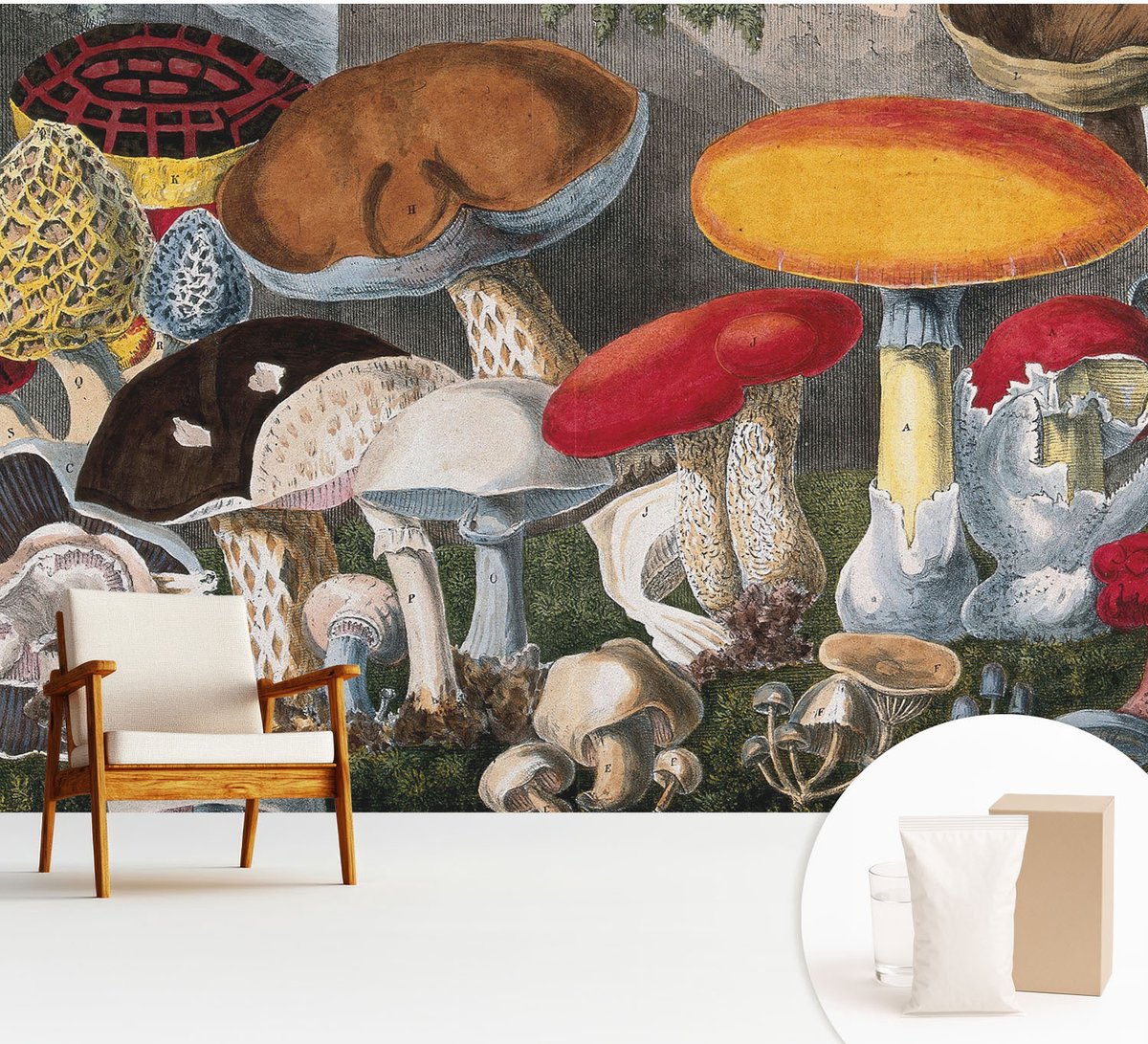 Wallfluent Fotobehang - Bruin Vliesbehang - 312x219 cm - Botanische Paddenstoelen Muurschildering - Slaapkamer behang Deel - Fotobehang Vlies - Gang behang