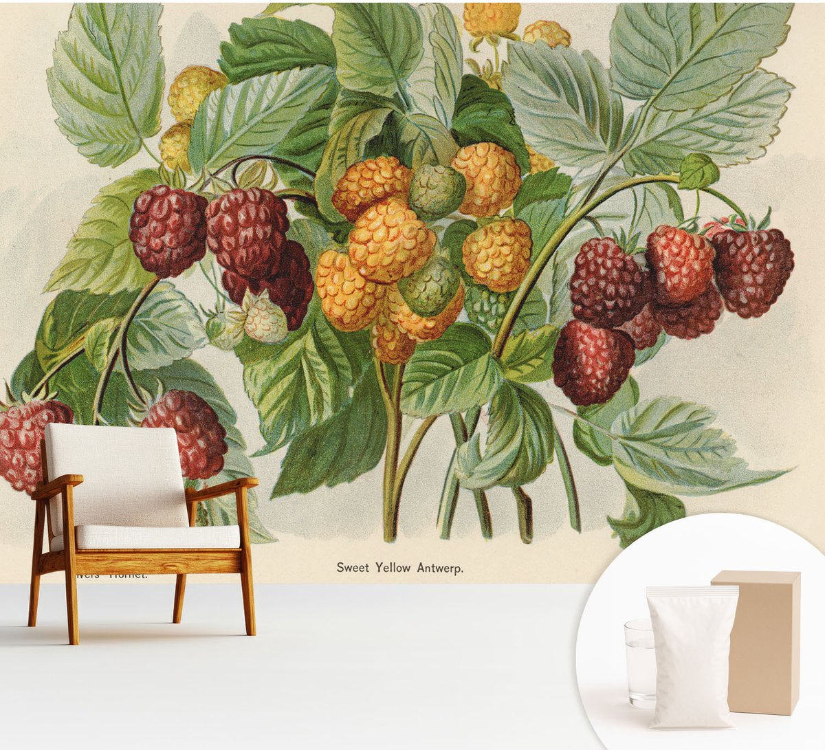 Wallfluent Fotobehang - Groente Vliesbehang - 312x219 cm - Klassieke Frambozen Fotobehang Vlies - Hal behang Bloemen En Planten - Muurschildering - Woonkamer behang