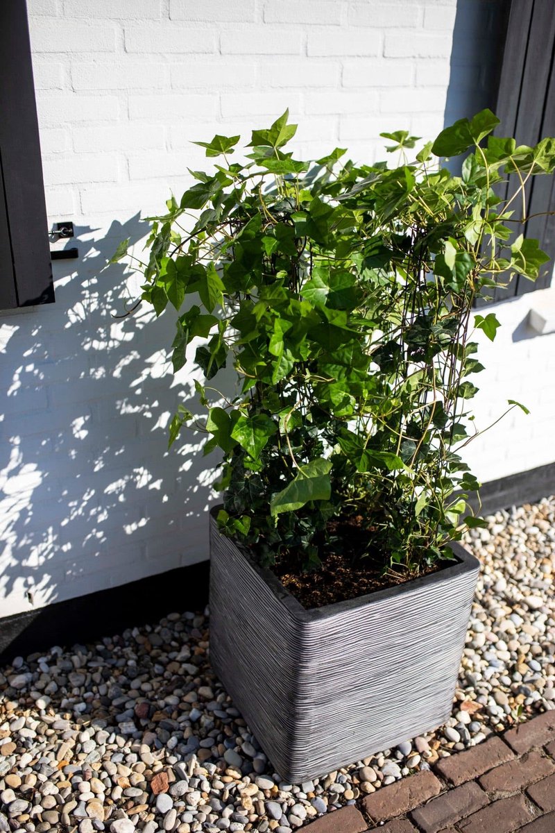 Capi Europe Pot de fleurs carré Rib NL - 40x40 - Gravier