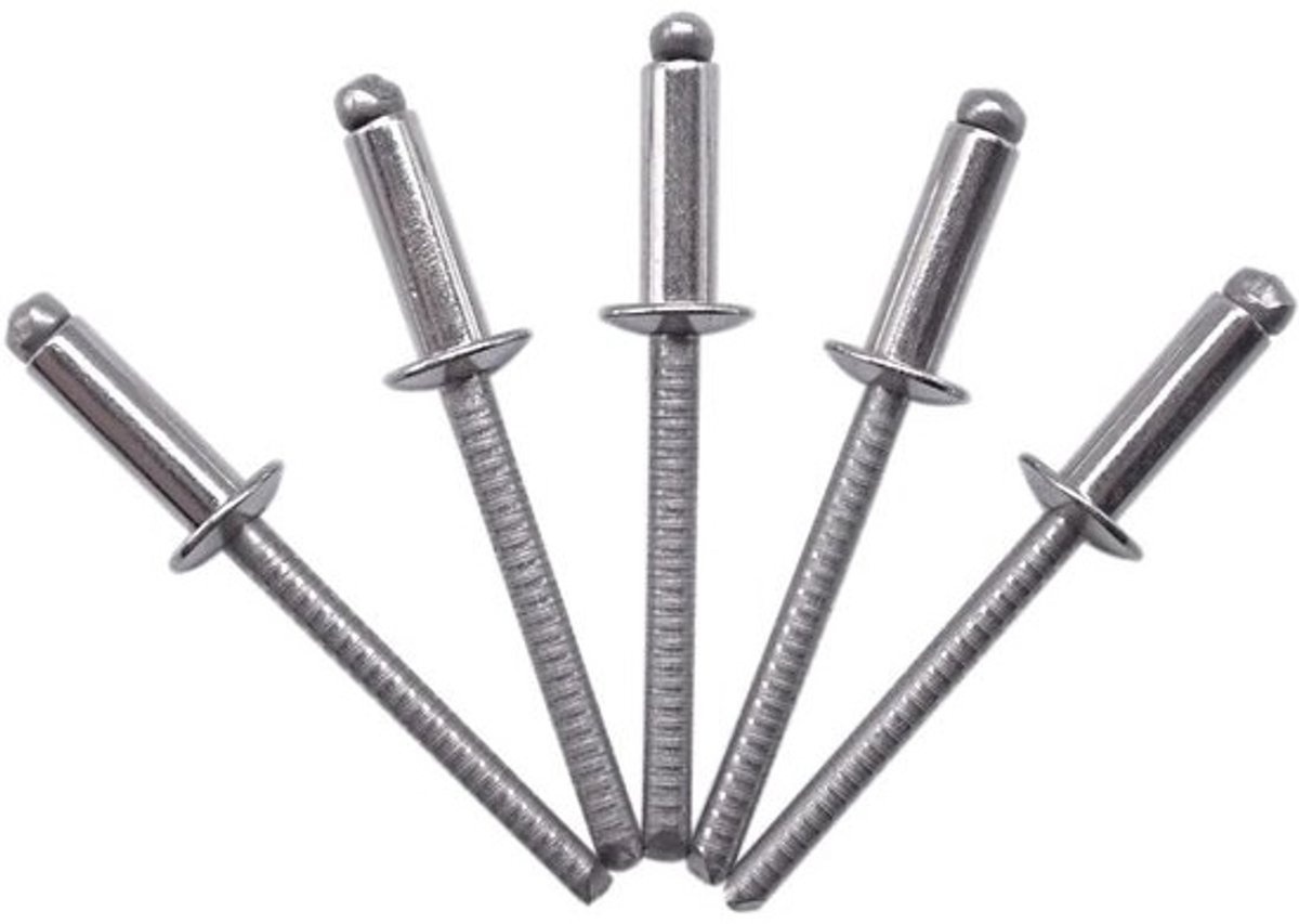 Pack van 100 Blinde Klinknagels 4,0 x 10 mm - Koepelkop Popklinknagels DIN 7337