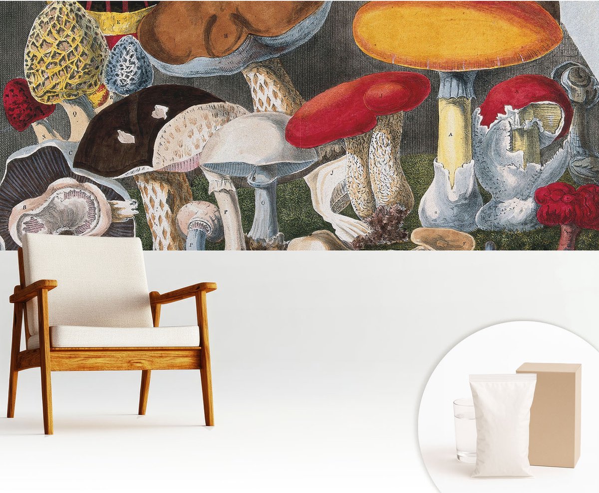 Wallfluent Fotobehang - Bruin Vliesbehang - 250x104 cm - Botanische Paddenstoelen Muurschildering - Gang behang Deel - Fotobehang Vlies - Gang behang