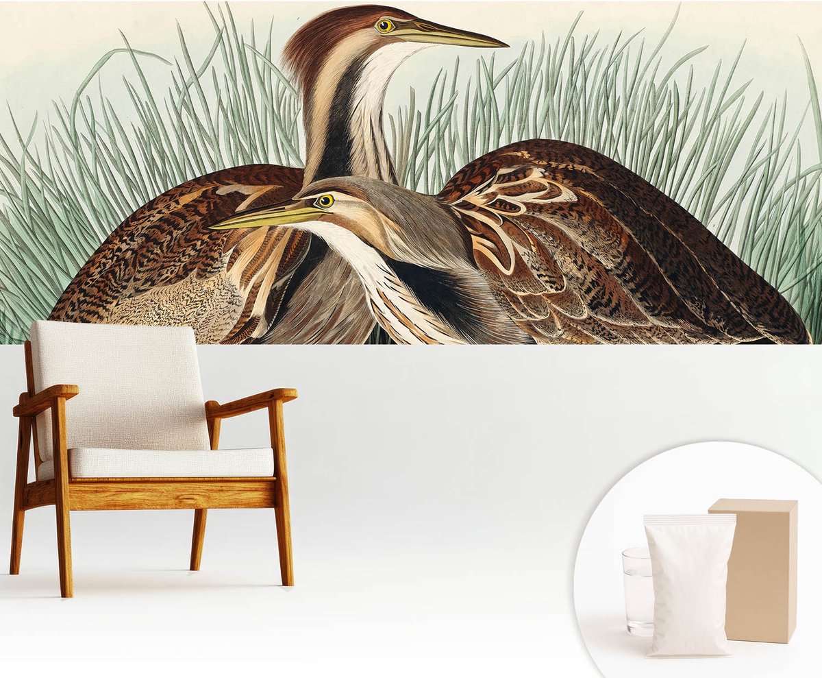 Wallfluent Fotobehang - Bruin Vliesbehang - 250x104 cm - Realistische Vogels Muurschildering - Gang behang Dieren - Fotobehang Vlies - Slaapkamer behang