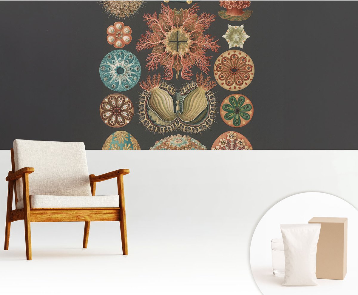 Wallfluent Fotobehang - Zwart Vliesbehang - 250x104 cm - Inspiratie Uit De Zee Fotobehang Vlies - Woonkamer behang Deel - Muurschildering - Woonkamer behang