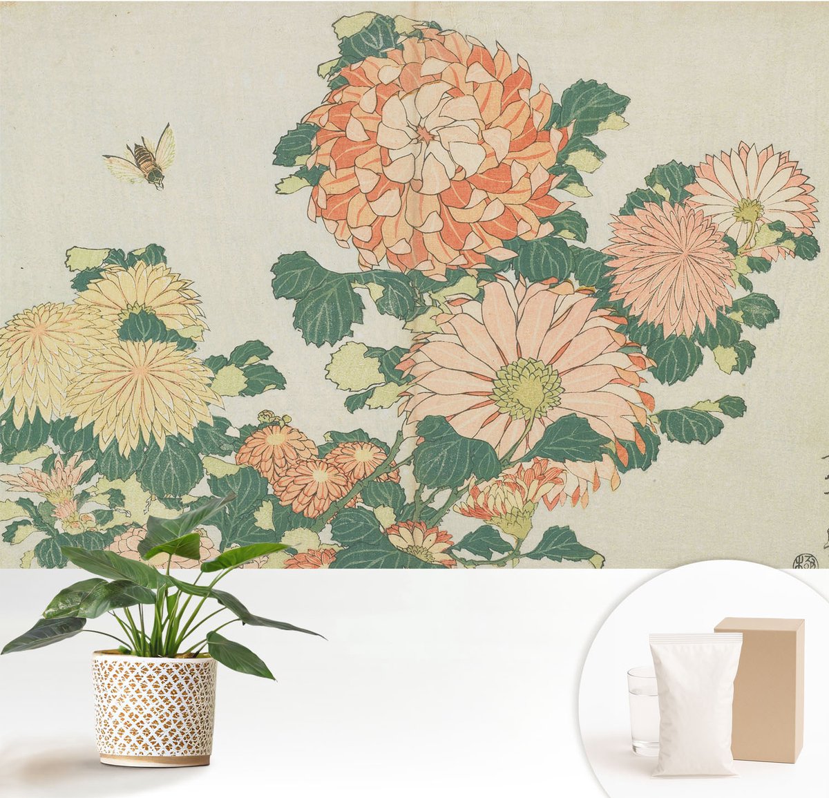 Wallfluent Fotobehang - Romig Vliesbehang - 152x104 cm - Chrysantenbloemen Muurschildering - Slaapkamer behang Bloemen En Planten - Fotobehang Vlies - Slaapkamer behang