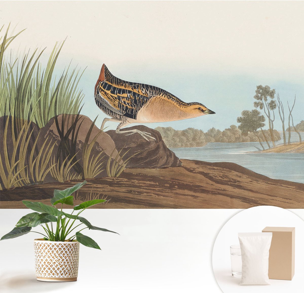 Wallfluent Fotobehang - Groente Vliesbehang - 152x104 cm - Natuurlijke Scène Muurschildering - Gang behang Dieren - Fotobehang Vlies - Slaapkamer behang