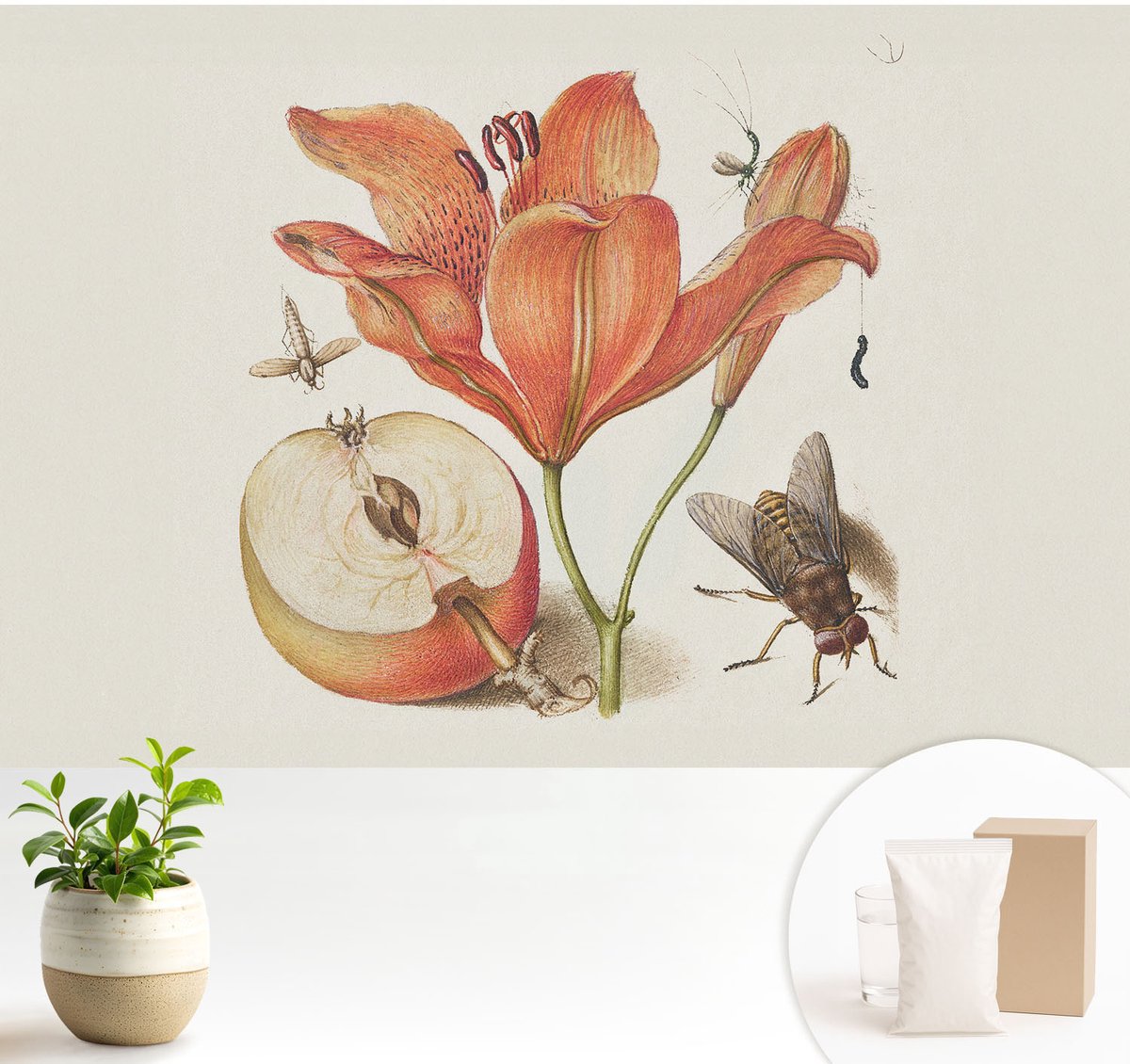 Wallfluent Fotobehang - Romig Vliesbehang - 104x70 cm - Botanische Illustratie Fotobehang Vlies - Hal behang Bloemen En Planten - Muurschildering - Hal behang