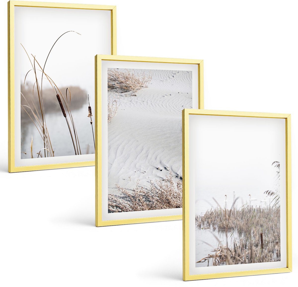 Coloray 3-Delige Schilderij Set - Waterplanten, Delicate Zomergezichten - 40 x 40 cm En 40 x 60 cm - Stijlvolle Muurdecoratie - Kantoor - Moderne Wanddecoratie