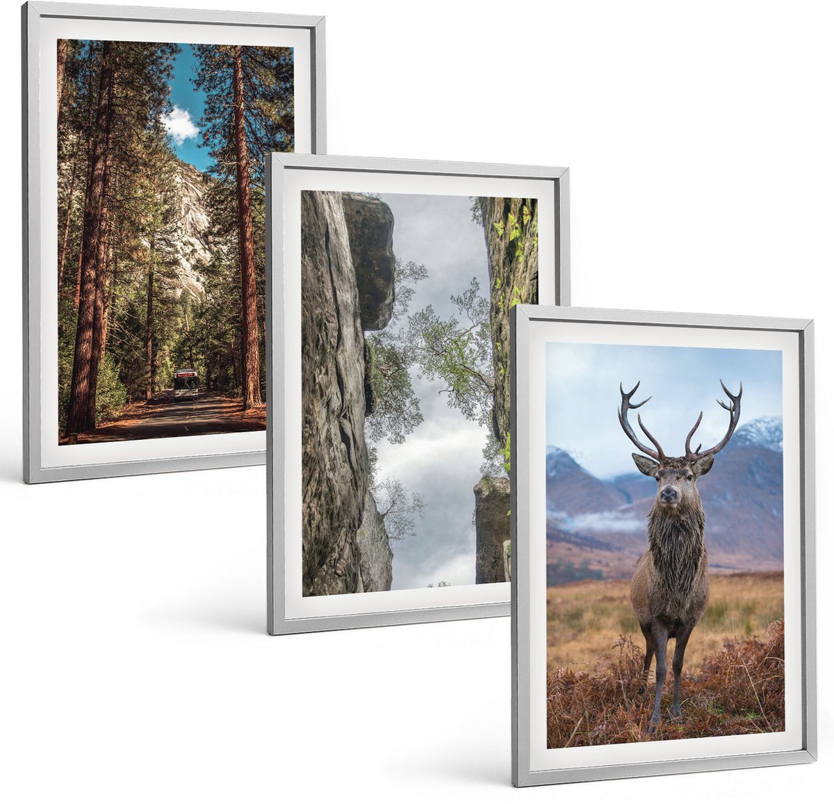Coloray 3-Delige Schilderij Set - Weg Door Het Bos, Bergen En Herten In De Natuur. - 40 x 60 cm - Wanddecoratie - Schilderijen Set - Kantoor - Stijlvolle Muurdecoratie