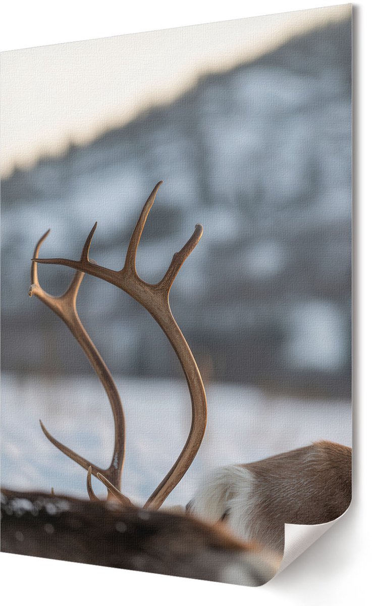 Coloray Polycanvas Wandposter - Ski-Avontuur, Fotografie - A3 - Wit Wanddecoratie - Rechthoek - Muurkunst - Woonkamer, Slaapkamer, Kantoor - Modern