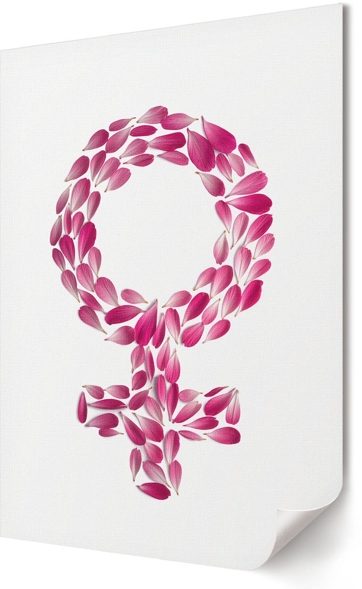 Coloray Polycanvas Poster - Besneeuwde Steeg, Fotografie - A3 - Wit Illustratie - Rechthoek - Muurdecoratie - Woonkamer, Slaapkamer, Kantoor - Klassiek