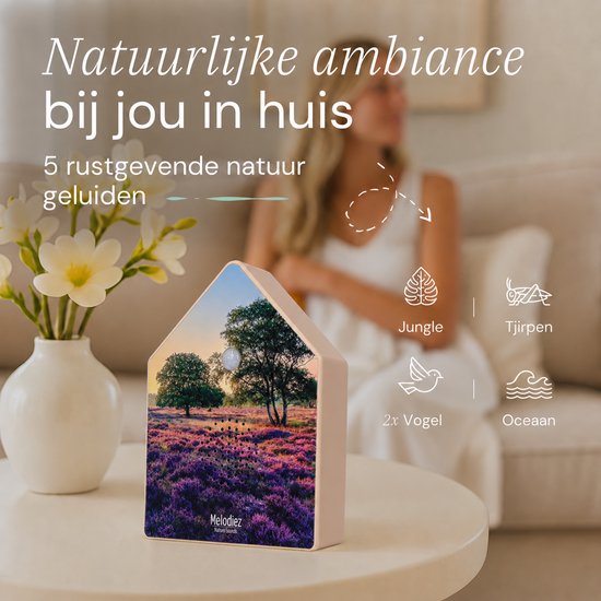 Melodiez geluidshuisje op een tafel, toont pictogrammen voor 5 natuurgeluiden: jungle, krekel, vogel en oceaan.