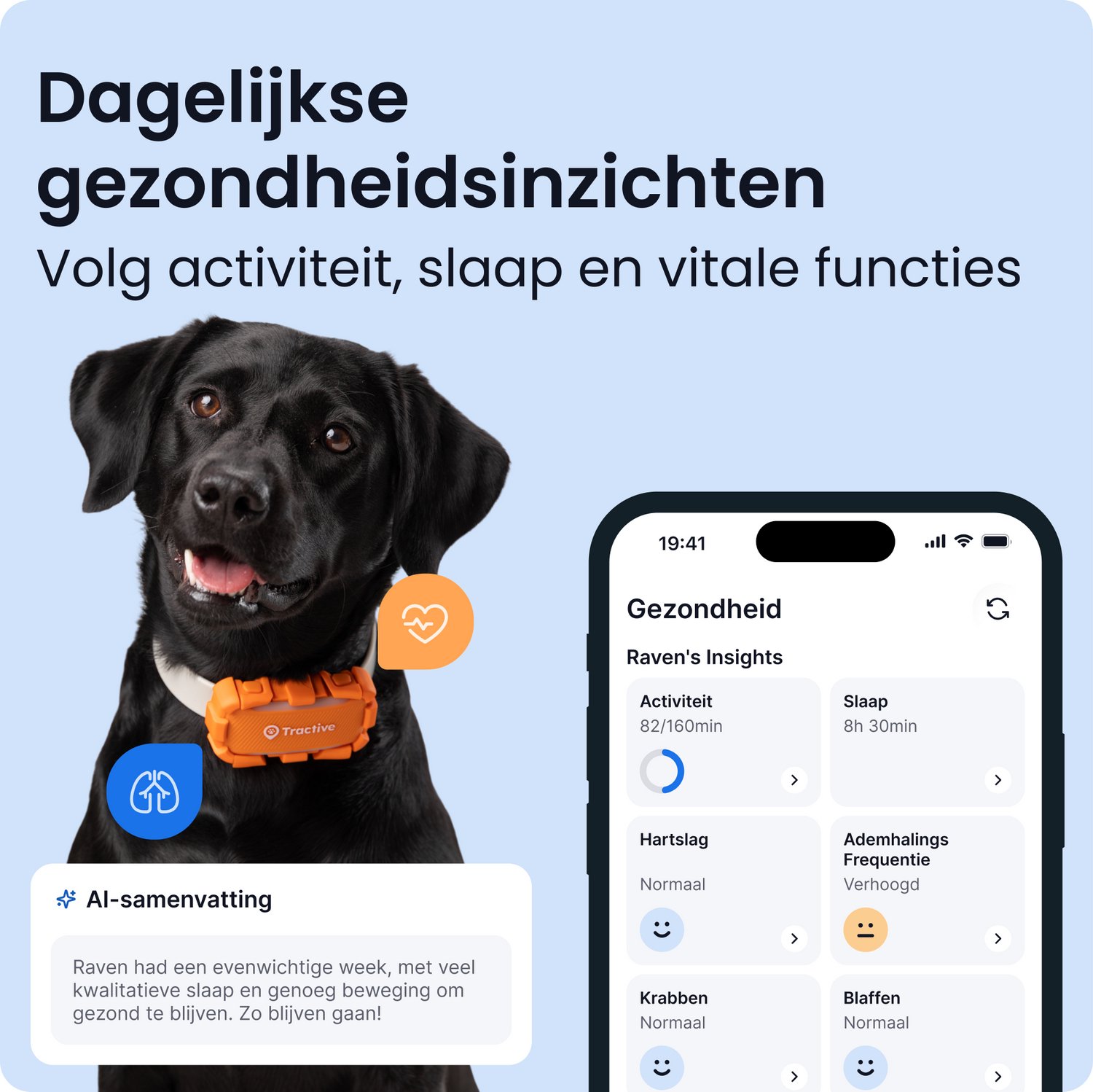Tractive DOG 6 XL Adventure Edition – Slimme GPS-tracker voor honden met monitoring van vitale waarden & gezondheidswaarschuwingen, 6 weken batterijlevensduur – Oranje thumbnail 5