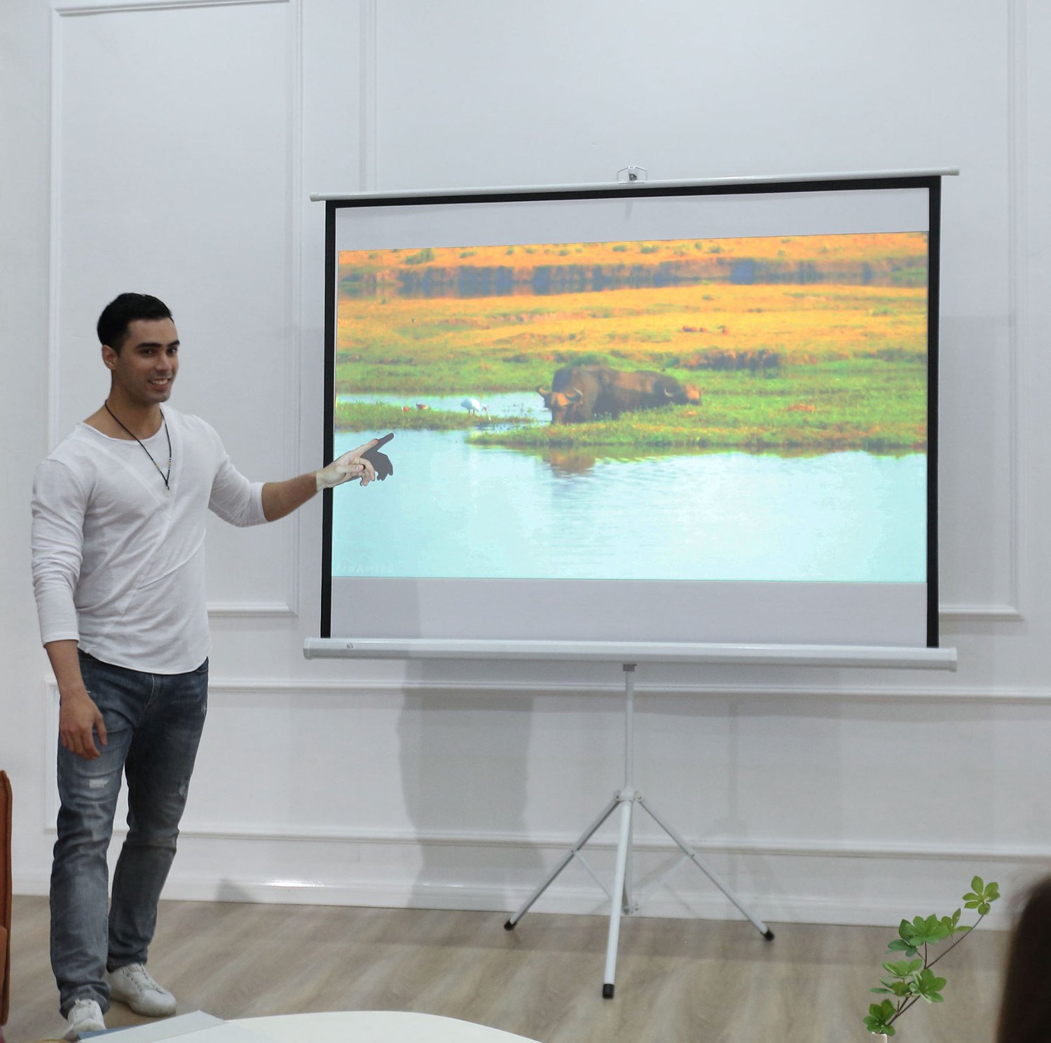 MEUNIQ Projectiescherm met driepootstatief, 84 inch, 4:3, scherm 171 x 131 cm, in hoogte verstelbaar en opvouwbaar, voor thuisfilms en presentaties, wit
