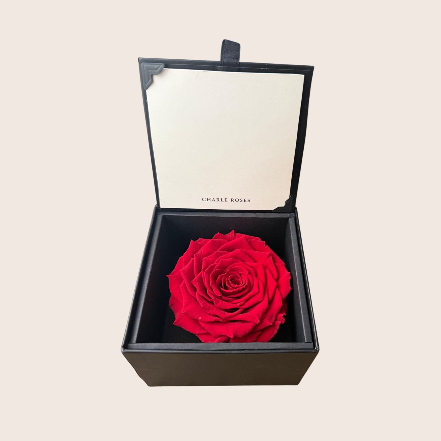 Charle Roses Classic - Houdbare Roos - In Stijlvolle Cadeaudoos - Longlife Roos Cadeau
