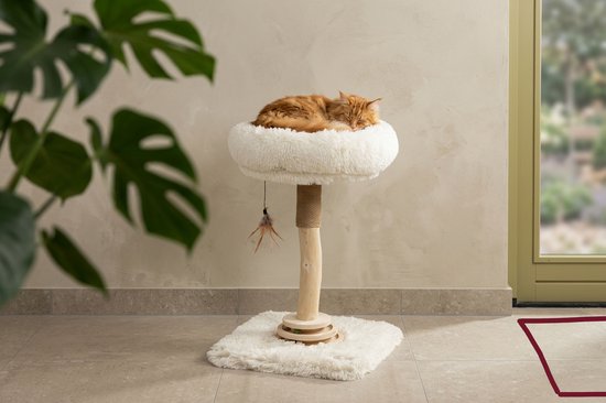 Rode kat slaapt op een crèmekleurige Studio RAR krabpaal met houten stam en speelgoed naast een kamerplant.