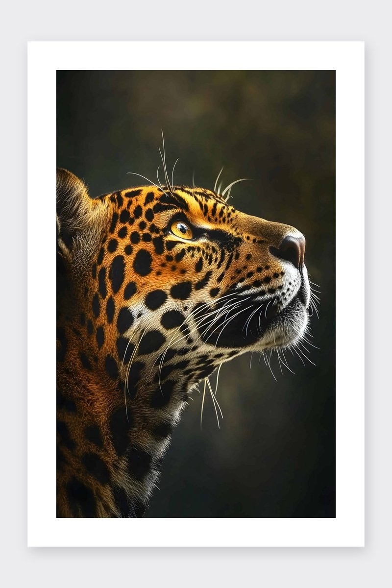 Jaguar Poster - Kijkt - Dieren - Natuur - Krachtige - Wild - Fotografie - posters - formaat 30x40cm - Wanddecoratie - BXS4252MT - Met kader - passe-partouts stijl