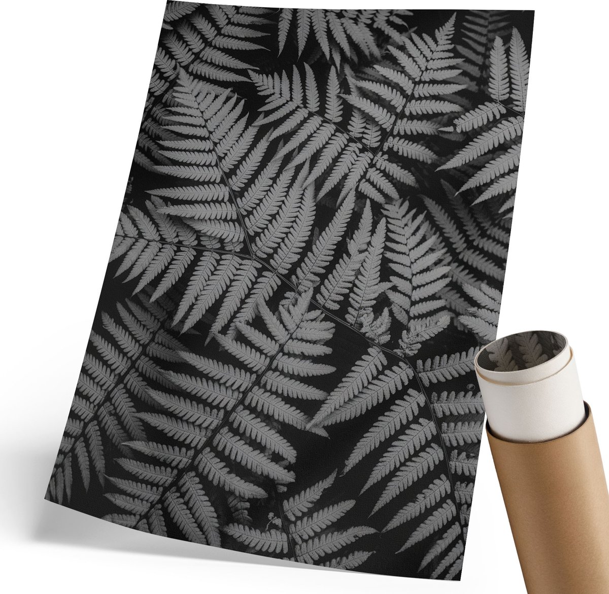 Coloray Canvas Poster Polycanvas - Zwart-Witte Varens, Fotografie - 210 x 297 mm - Zwart Decoratie - Rechthoek - Decoratieve poster - Woonkamer, Slaapkamer, Kantoor - Klassiek