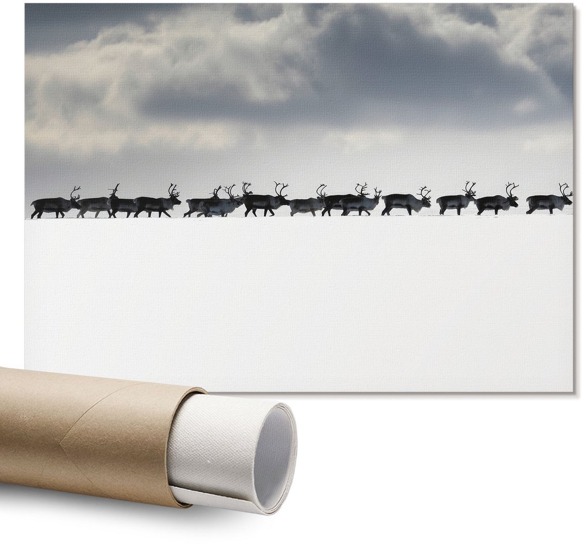 Coloray Polycanvas Wandposter – Arctische Reis, Wit – A1 – Wit Poster – Rechthoek – Decoratieve Wandposter – Kantoor – Minimalist