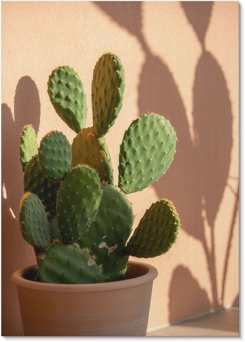 Tulup Polycanvas Poster - Groene Cactus, Fotografie - A4 - Groen Motief - Rechthoek - Muurdecoratie - Woonkamer, Slaapkamer, Kantoor - Modern