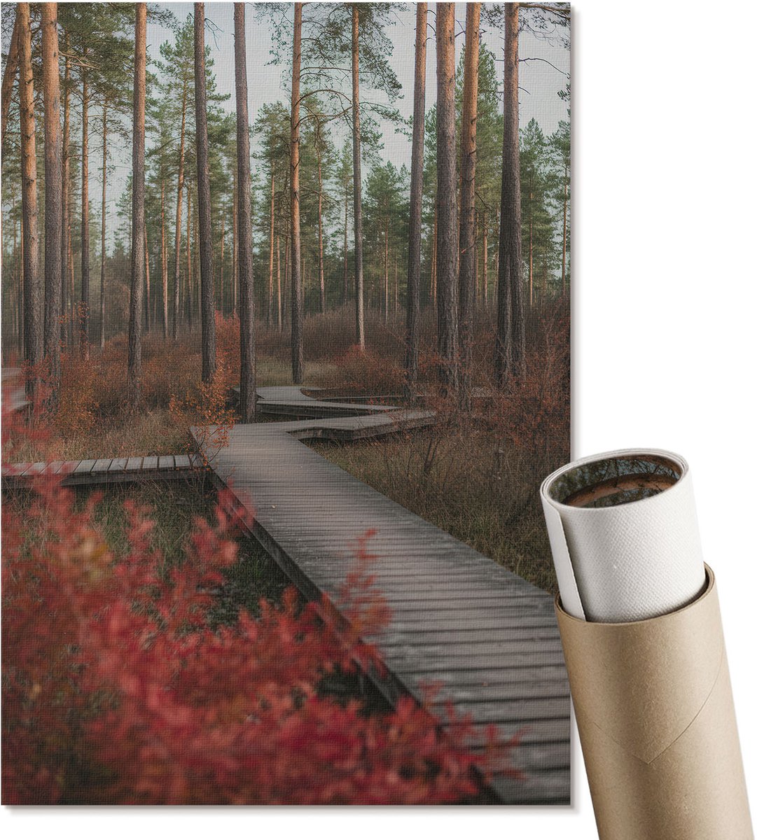 Coloray Polycanvas Poster - Bosweg, Fotografie - A4 - Bruin Motief - Rechthoek - Decoratieve poster - Woonkamer, Slaapkamer, Kantoor - Klassiek
