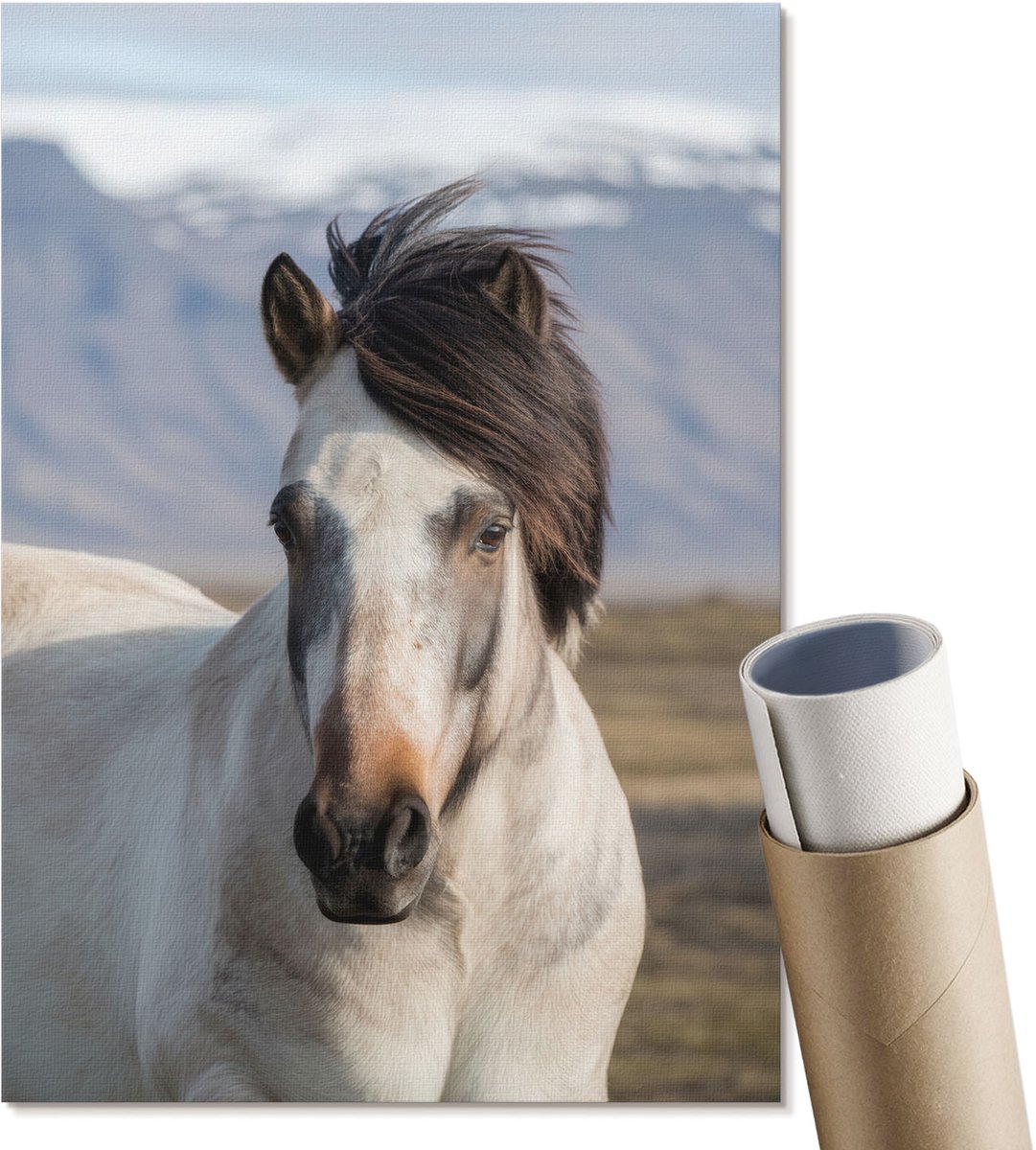 Coloray Polycanvas Wandposter - Een Paard Met Een Manen, Fotografie - A4 - Wit Motief - Rechthoek - Interieurdecoratie - Woonkamer, Slaapkamer, Kantoor - Rustiek