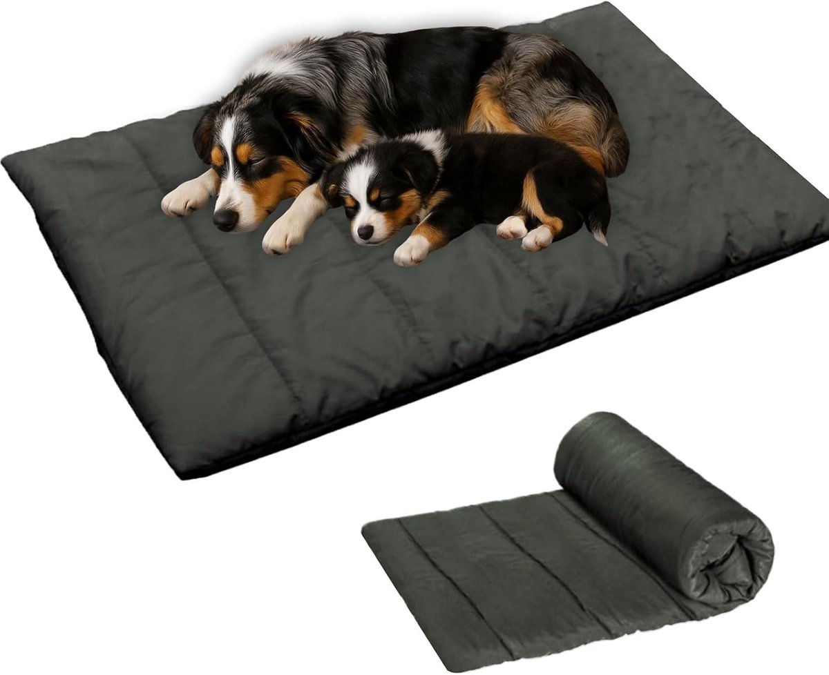 Waterdicht, voor onderweg, meerkleurige huisdiermat, 50 x 15 x 50 cm, machinewasbaar, geschikt voor kattenbed, met kussen