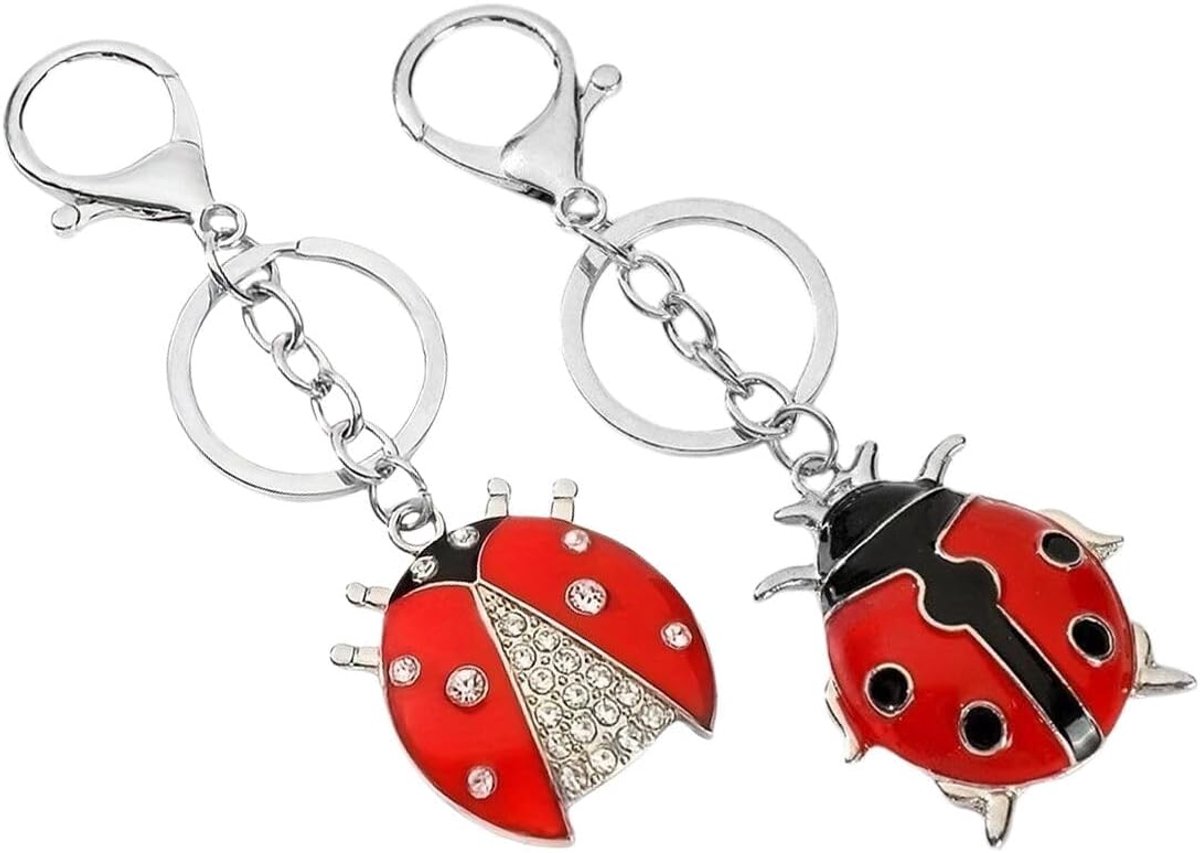 2 stuks lieveheersbeestje, geluksbrenger, uniseks, voor auto, motorfiets, cadeau, verjaardag, Kerstmis, Valentijnsdag