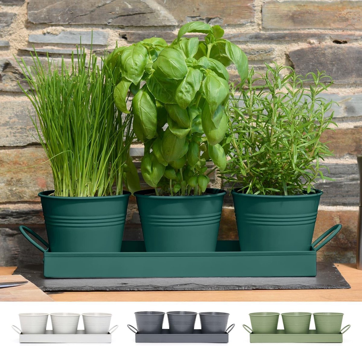 LTD Set van 3 metalen kruidenplantenpotten met lekbak, traditionele indoor vensterbank, gekleurde plantenbak voor de keuken, kweek je eigen kruiden om te koken (donkergroen)