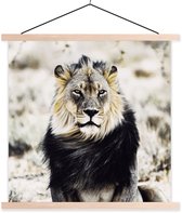 Porte-affiche avec affiche - Affiche scolaire - Animaux sauvages - Lion - Zwart - 60x60 cm - Lattes vierges