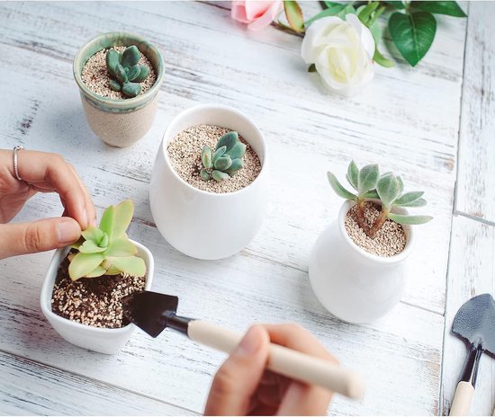 Set van 3 draagbare mini-tuingereedschappen - miniatuur tuinhark, troffel en schep voor zaaien, bonsai, vetplanten, kruiden, terraria en aanplant van Merkloos	 — afbeelding 4