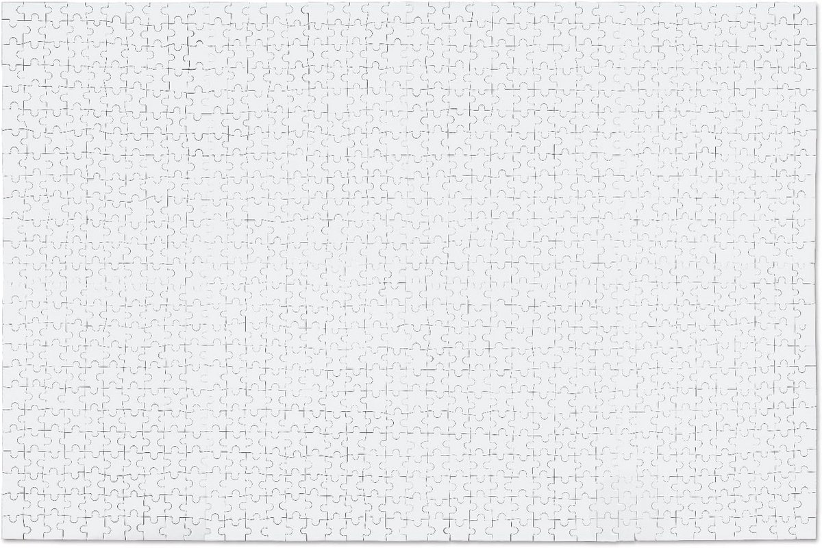 1000 Stukjes Lege Witte Puzzel voor Kinderen en Volwassenen - Blanco Kartonnen DIY Legpuzzel van 50x75 cm