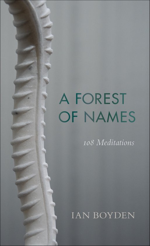 Wesleyan Poetry Series - A Forest of Names - cover