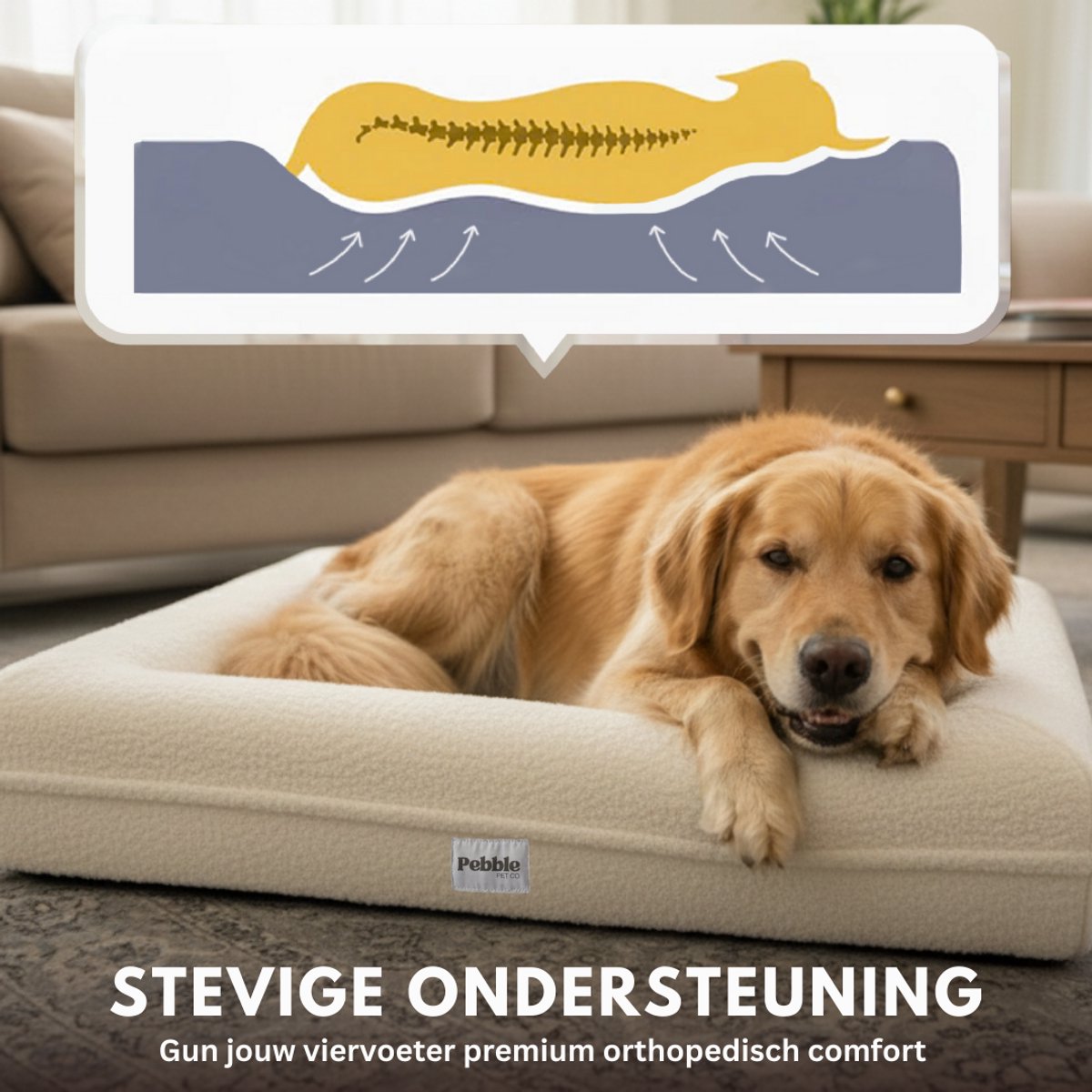 Pebble Orthopedische Hondenmand 88x63 cm Creme Wit - Wasbaar - Teddy - Hondenbed - Stevige Bodem - Zacht Pluche - Hondenkussen - Voor Middelgrote Honden thumbnail 6