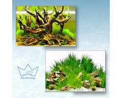 AquaKonings Aquarium Poster – Waterdicht - Decoratie Vis Poster - Aquarium Decoratie - Aquarium Wand - 200x50 cm - K