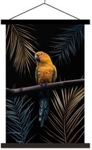 Porte-affiche avec affiche - Affiche scolaire - Couleurs - Vogel - Perroquet - 60x90 cm - Lattes noires