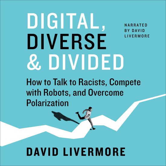 Digital, Diverse & Divided - cover