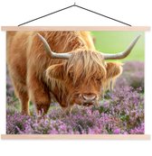 Porte-affiche avec affiche - Affiche scolaire - Scottish Highlander - Violet - Fleurs - 120x90 cm - Lattes vierges