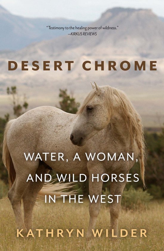 Desert Chrome - cover
